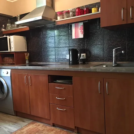 Du Draugai * Друскининкай