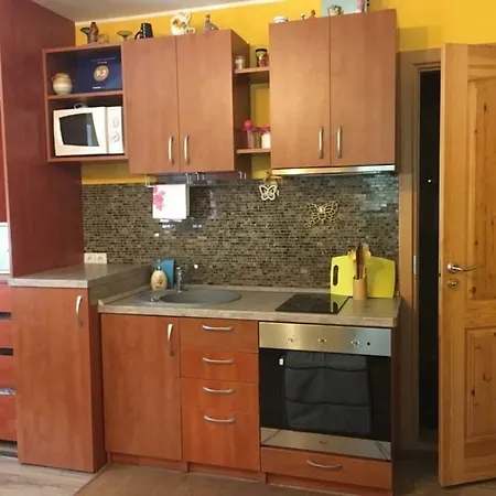 Lejlighed Du Draugai Druskininkai