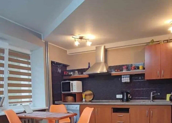 Du Draugai Apartament