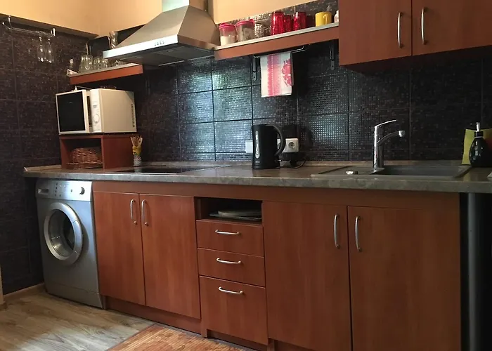 Du Draugai * Druskieniki