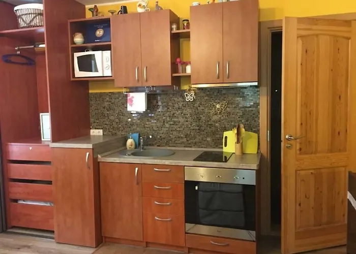 Apartament Du Draugai Druskieniki